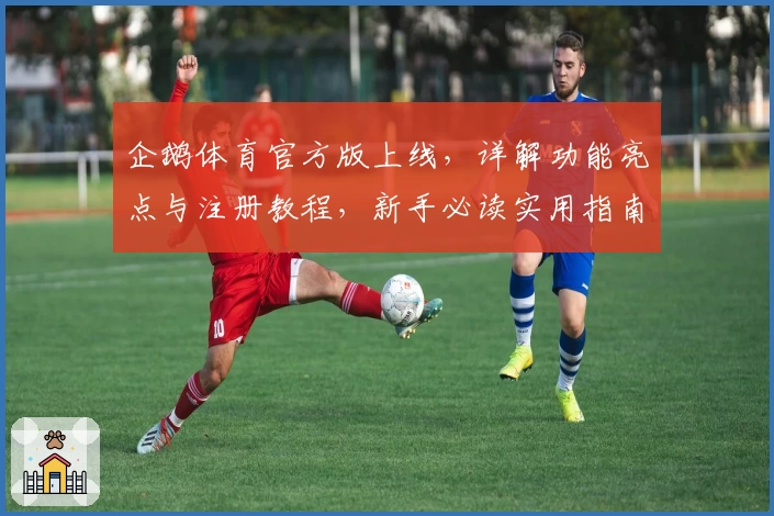 企鹅体育官方版上线，详解功能亮点与注册教程，新手必读实用指南