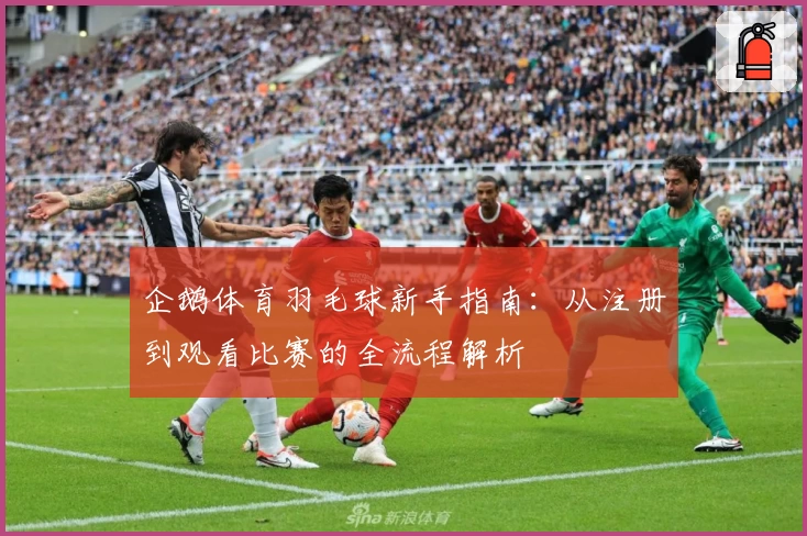 企鹅体育羽毛球新手指南：从注册到观看比赛的全流程解析