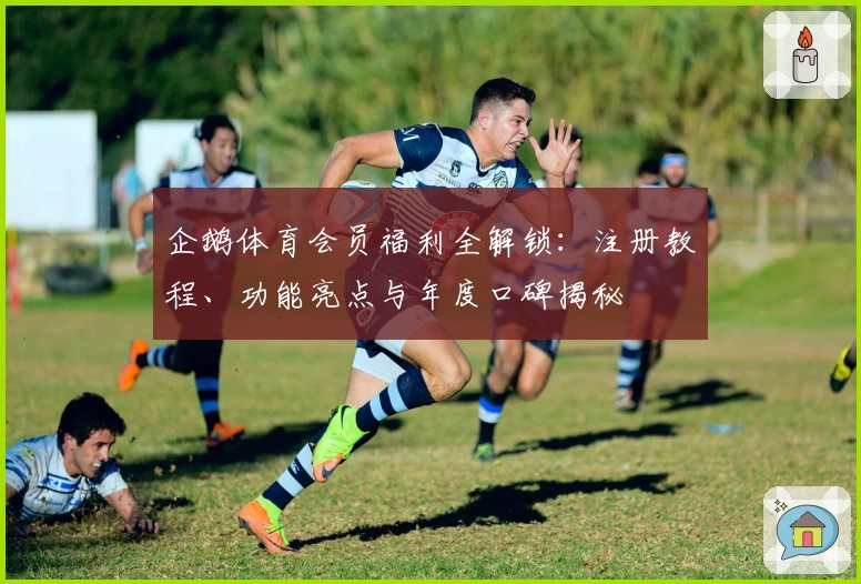 企鹅体育会员福利全解锁:注册教程、功能亮点与年度口碑揭秘