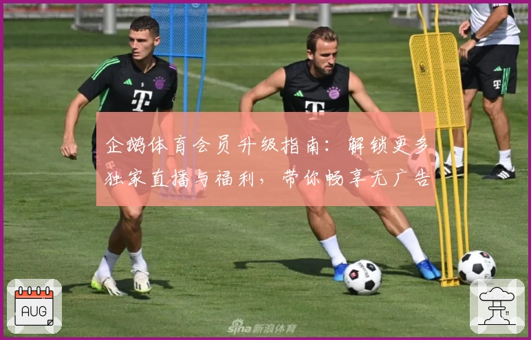 企鹅体育会员升级指南：解锁更多独家直播与福利，带你畅享无广告观赛体验