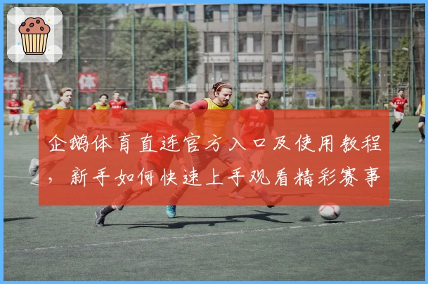 企鹅体育直连官方入口及使用教程，新手如何快速上手观看精彩赛事
