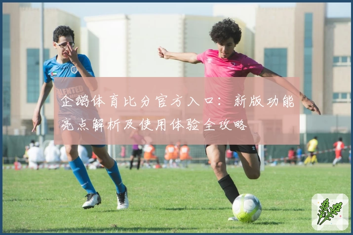 企鹅体育比分官方入口：新版功能亮点解析及使用体验全攻略