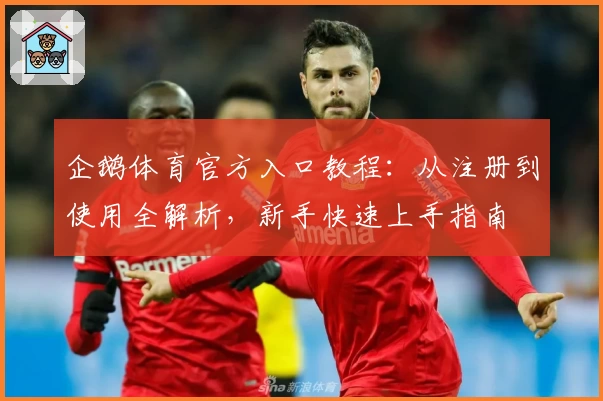 企鹅体育官方入口教程：从注册到使用全解析，新手快速上手指南