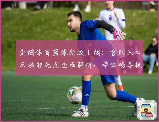 企鹅体育篮球新版上线：官网入口及功能亮点全面解析，带你畅享极致观赛体验